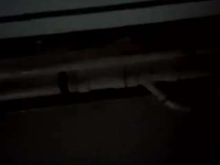 virgovixengal