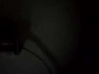 virgovixengal