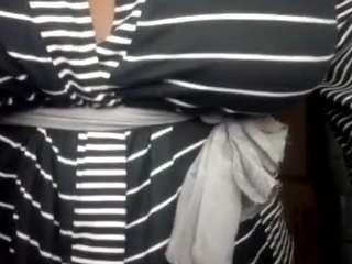 virgovixengal