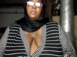 virgovixengal