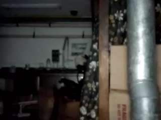 virgovixengal
