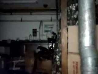 virgovixengal