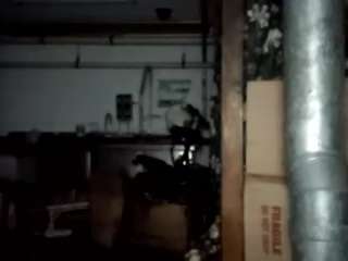 virgovixengal