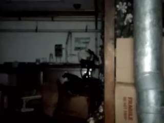 virgovixengal