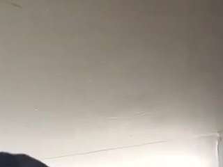 virgovixengal