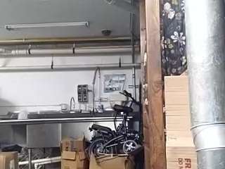 virgovixengal