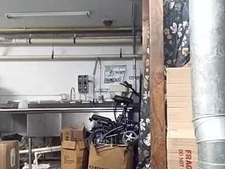 virgovixengal