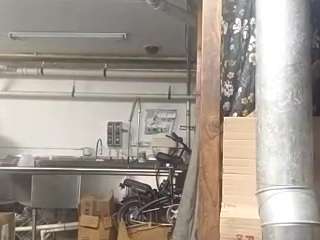 virgovixengal