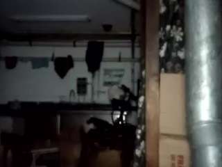 virgovixengal