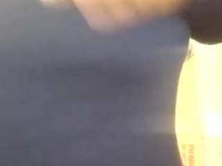 virgovixengal