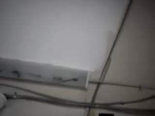 virgovixengal