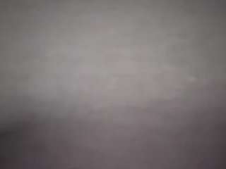 virgovixengal