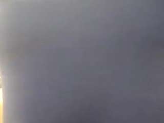virgovixengal