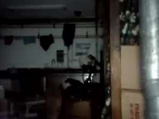 virgovixengal