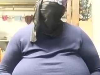 virgovixengal