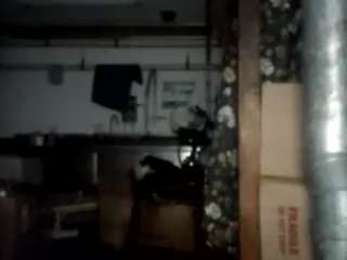 virgovixengal