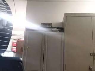virgovixengal