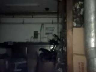 virgovixengal