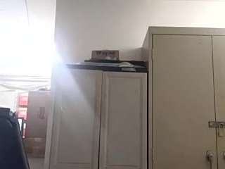 virgovixengal