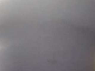 virgovixengal
