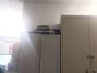 virgovixengal