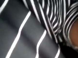 virgovixengal