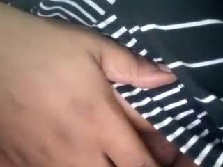 virgovixengal