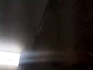 virgovixengal