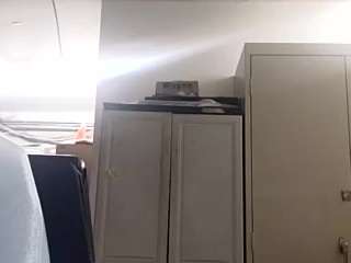 virgovixengal
