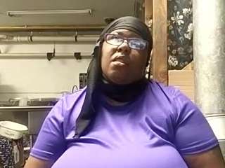 virgovixengal