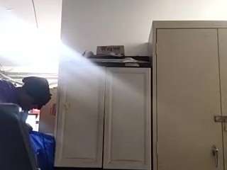 virgovixengal