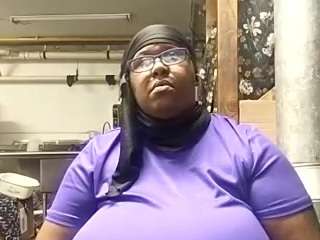 virgovixengal