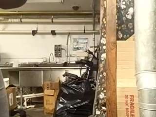 virgovixengal