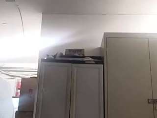 virgovixengal