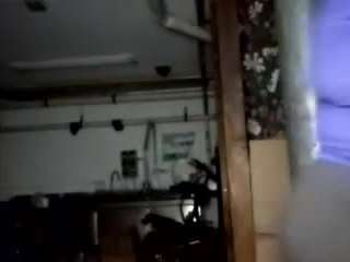 virgovixengal