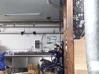 virgovixengal