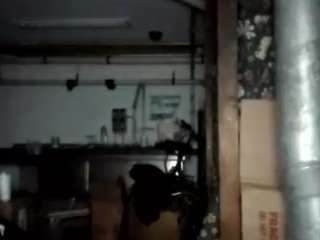 virgovixengal