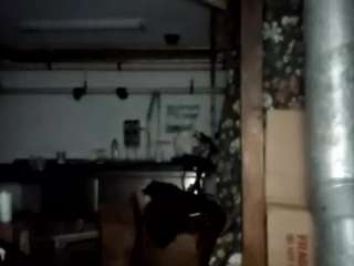 virgovixengal