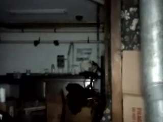 virgovixengal