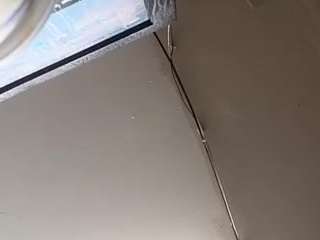 virgovixengal
