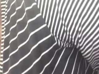 virgovixengal