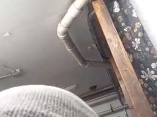 virgovixengal