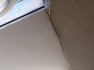 virgovixengal