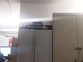 virgovixengal