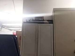 virgovixengal