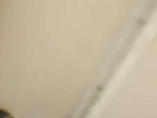 virgovixengal