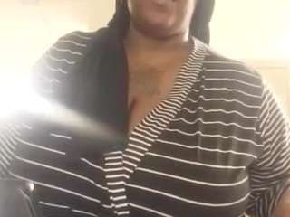 virgovixengal