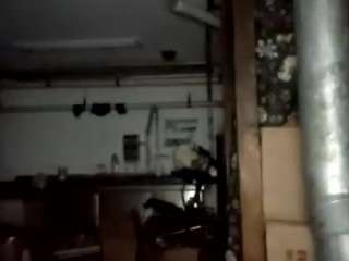 virgovixengal