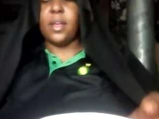 virgovixengal