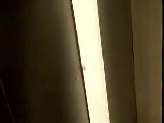 virgovixengal